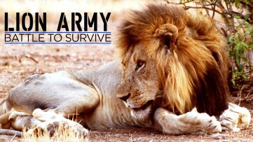 Lion Army: Battle to Survive