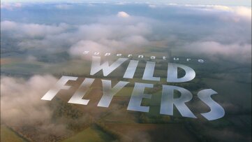 SuperNature -- Wild Flyers