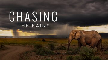Chasing the Rains