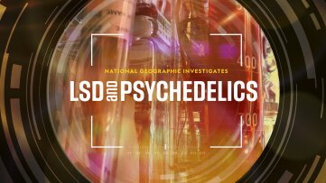 National Geographic Investigates - LSD & The Psychedelic Revolution